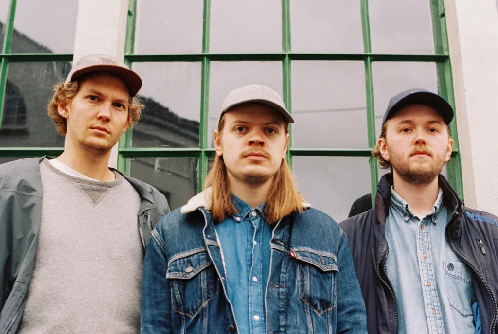 Datadyr band image