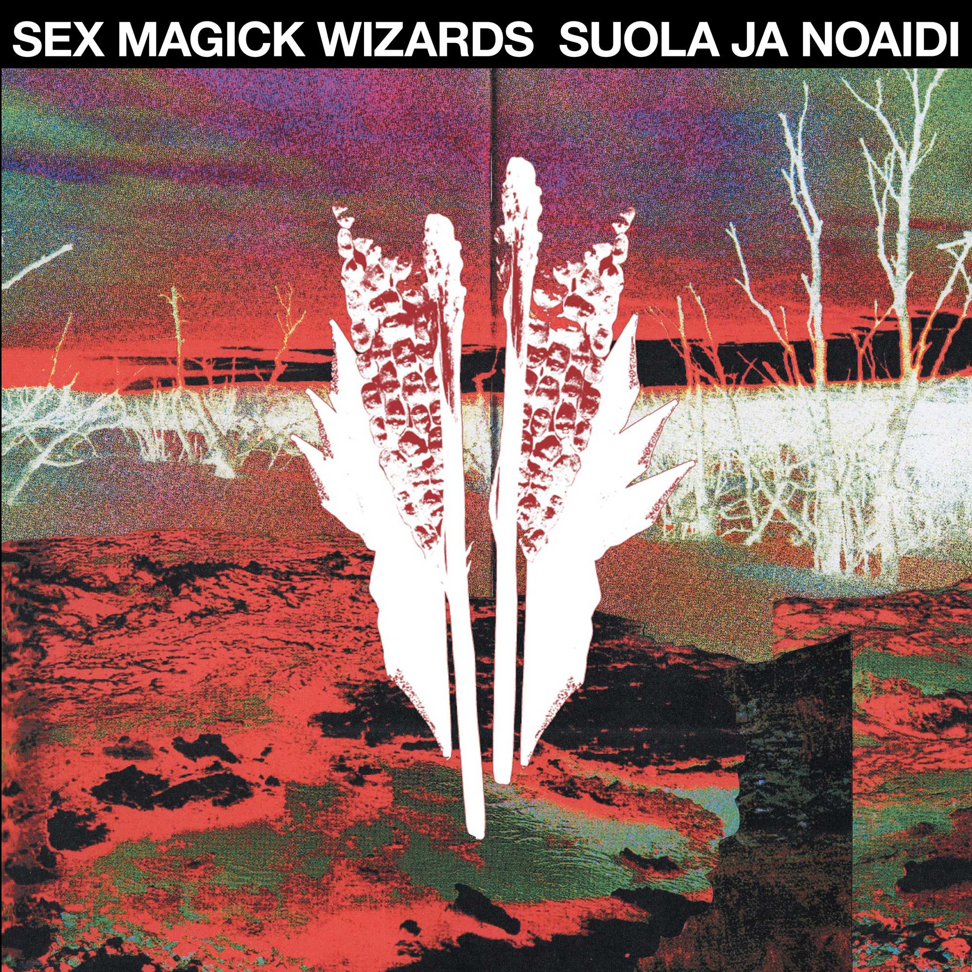 SEX MAGICK WIZARDS ANNOUNCE NEW ALBUM AND SINGLE 2 Cover for Sex Magic Wizards - Suola Ja Noaidi