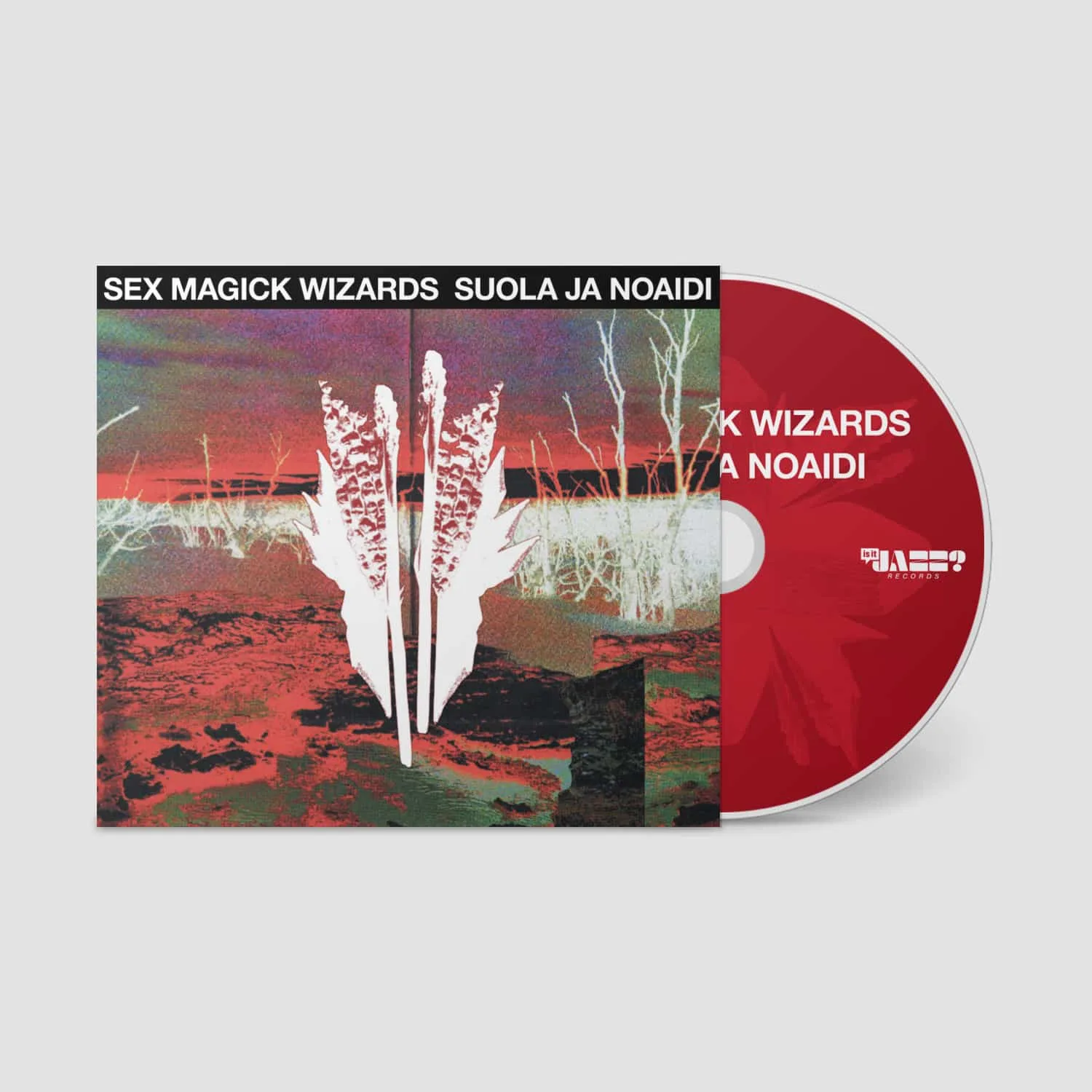 SEX MAGICK WIZARDS ANNOUNCE NEW ALBUM AND SINGLE 3 KAR318CD Mockup SEX MAGICK WIZARDS ANNOUNCE NEW ALBUM AND SINGLE