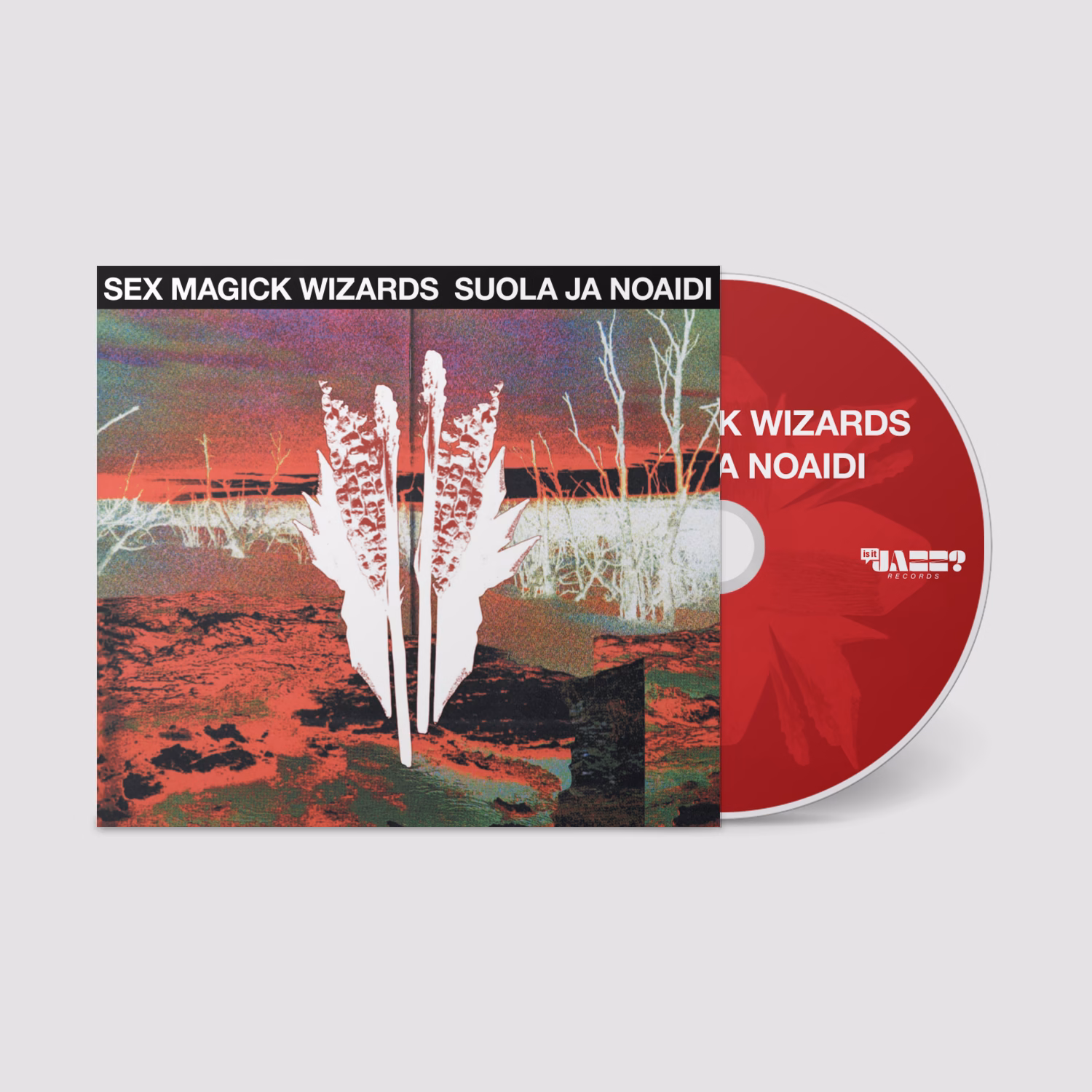 SEX MAGICK WIZARDS ANNOUNCE NEW ALBUM AND SINGLE 3 KAR318CD Mockup