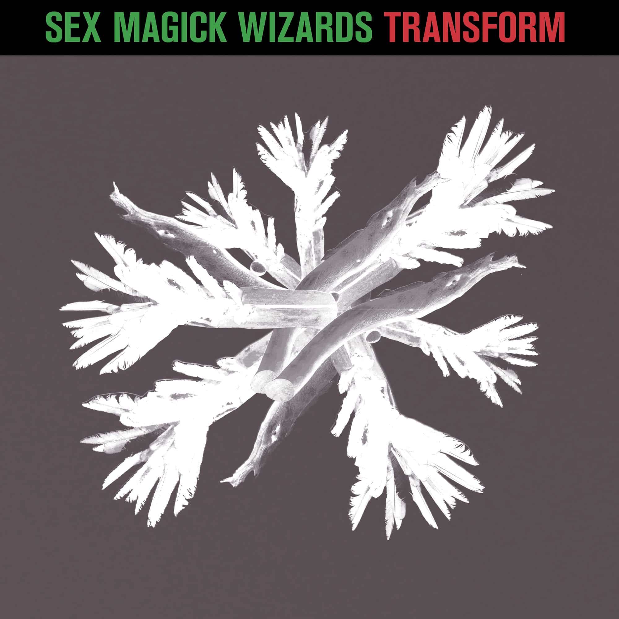 Sex Magick Wizards announce new single 1 Sex magick Wizards cover for the single Transform